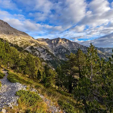 Jayne's - Getaways *