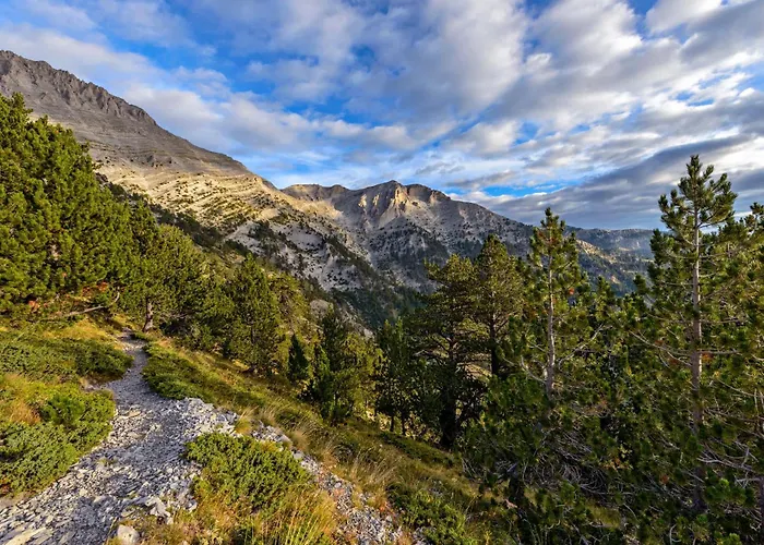 Jayne's - Getaways *